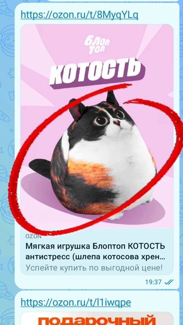 окак(⊙_⊙)