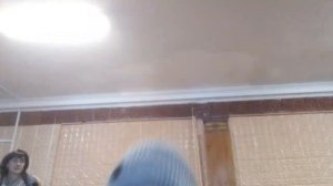 Здравствуй дижей черепаха