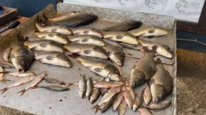 улов на большом водоëме
