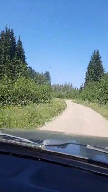Красивая Сибирская природа.