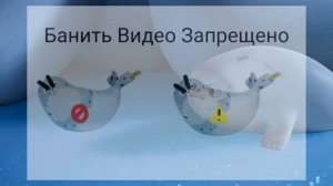 Тюленьки: 21 Серия: Как я встретил своего белого медведя (без АП)
