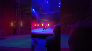 Сходили в цирк «Империя мастеров»