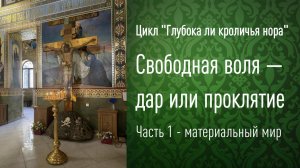 Свободная воля, часть 1