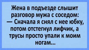 Жена слышит разговор мужа с соседом: Сначала я снял с нее юбку, потом... | Анекдоты смешные | Юмор