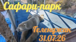Сафари-парк#ЖАРКОвы #ЖарковыНаЮге #Геленджик #СафариПарк #ПутешествияПоРоссии #ОтдыхНаЮге #Лето2026