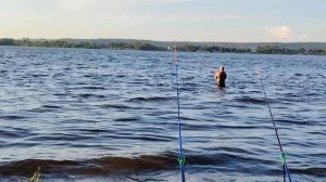Рыбалка на реке Волга. 01.08.2026 года