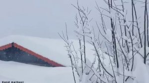 Готовим индейку.