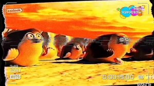 1000001288.mp4