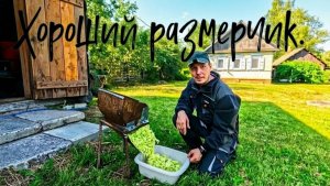 Хороший размерчик.