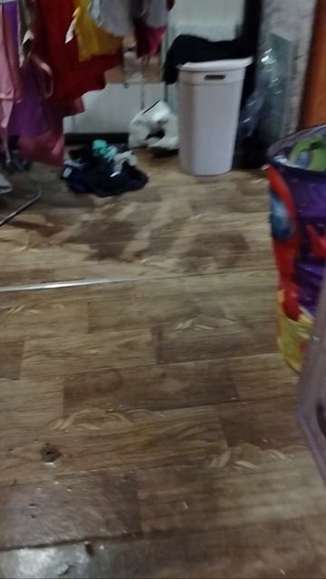 впереди стена позади погоня