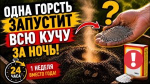 КОМПОСТ ЗА НЕДЕЛЮ! ДОБАВЬТЕ ЭТО - И КУЧА НАЧНЁТ ГРЕТЬСЯ УЖЕ ЧЕРЕЗ СУТКИ