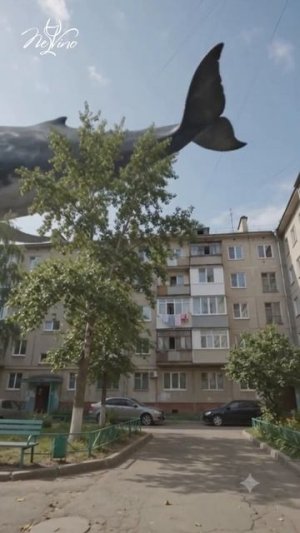 Если кит может плыть по небу, вечер точно может стать необычным 🐋💜