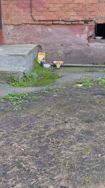 03-08-2026