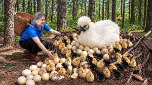 Добыча редких экзотических диких кур. Сбор свежих яиц и птенцов. Готовлю ужин. Жизнь во Вьетнаме