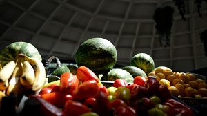 Сезон уборки бахчевых в самом разгаре