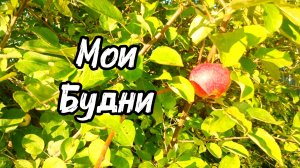 БОЛТАЛКА ПОД КОФЕËК ☕