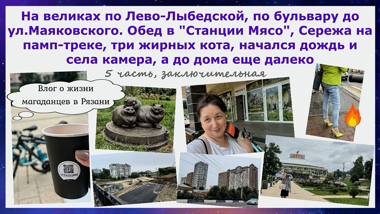 Рязань. На великах по Лыбедском.Фудтрак Станция Мяса.Сережа на памп-треке,три кота,дождь,села камера