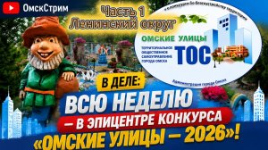 Марафон «Начните с малого» Смотр‑конкурс «Омские улицы» — часть 1 🌿 На улицах Ленинского округа