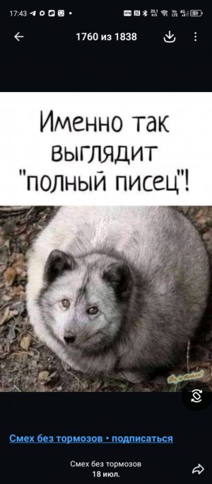 гуляем