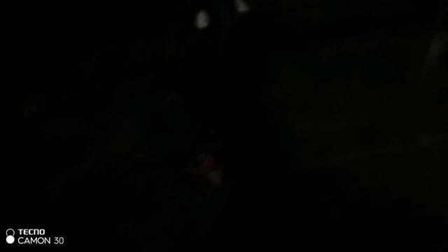 меня выгнали из табуна //история Ривальефа //
Шляйх сериал // Vajber Fernando //
