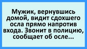 Мужик, вернувшись домой, видит сдохшего осла прямо напротив входа... | Анекдоты смешные | Юмор