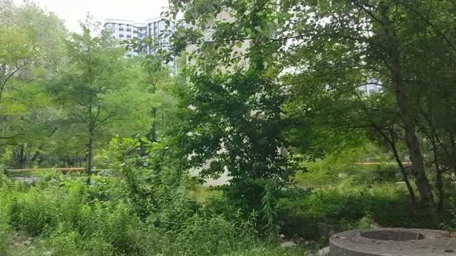 Ужасы в районе Мацесты