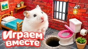 Хомячок проходит лабиринт- ЛЕГО лабиринт для хомяка своими руками! Приключения хомяка для детей №9