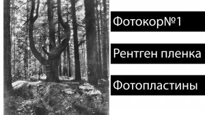 Кадры без плана, результат не гарантирован