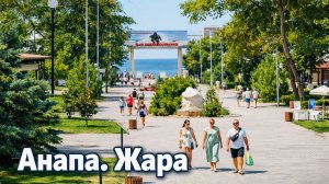 Анапа. В городе жара. Тщетные поиски воды местными голубями.