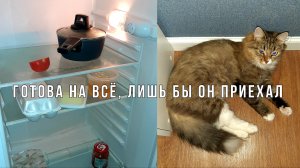 Я ИСПЕКУ ЕМУ СОСИСКИ В ТЕСТЕ, ПРИЕДЕТ ЛИ ОН НА ЭТОТ РАЗ?