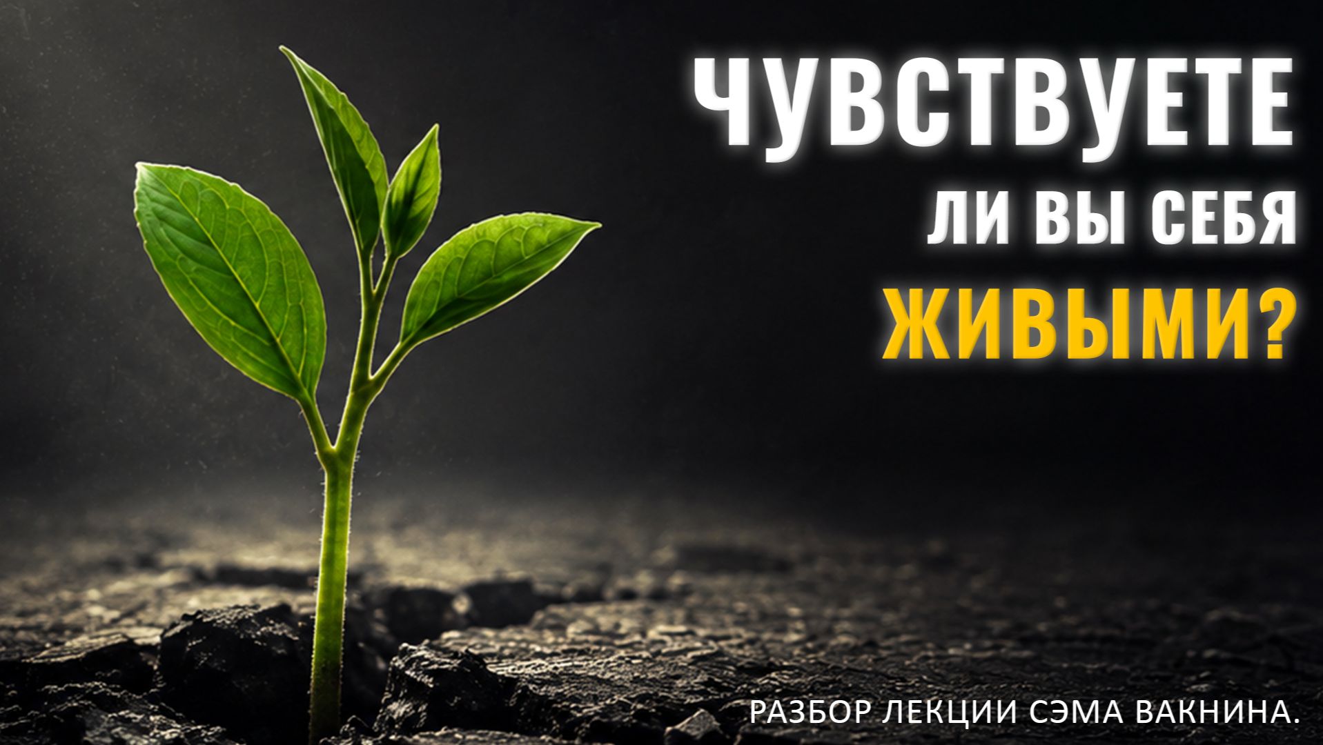 ЧУВСТВУЕТЕ ЛИ ВЫ СЕБЯ ЖИВЫМИ? Разбор лекции.