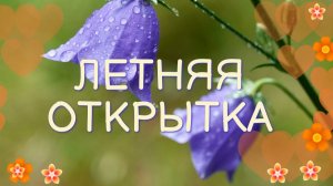 Как сохранить лето в сердце до самой зимы? Этот колокольчик знает ответ 🌿🔔