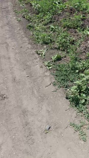 убиваем монстров