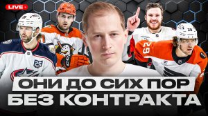 ПОЧЕМУ НИКИШИН, ГРЕБЕНКИН, ФАНТИЛЛИ, ГОТЬЕ И ДРУГИЕ ОГРАНИЧЕННО СВОБОДНЫЕ АГЕНТЫ ЕЩЕ БЕЗ КОНТРАКТА?