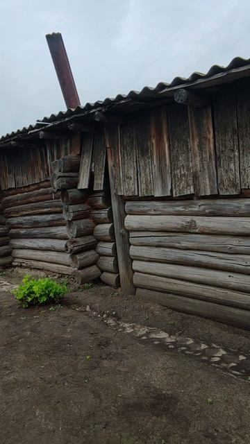 они просто потеряли счёт времени