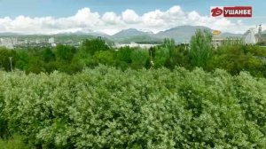 Начало эфира после профилактики (Душанбе HD (Душанбе, Таджикистан), 03.08.2026)