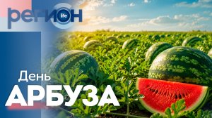 День арбуза | ОТС LIVE — прямая трансляция