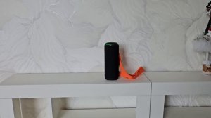 Dl Audio Barracuda Portable Speaker полный обзор портативной колонки.
