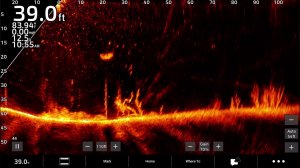 lvs42HD & lvs44 livescope2