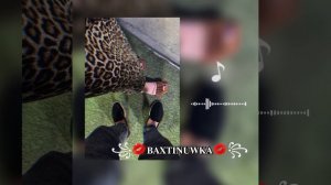 цыганская🧿❤ песня🎶🎤
 золотой 🌜💋2026 года🌹