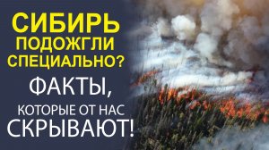 КТО ЗАРАБАТЫВАЕТ НА ПЕПЕЛИЩЕ? РАССЛЕДОВАНИЕ ЛЕСНЫХ ПОЖАРОВ.