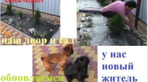 Что у нас творится во дворе. Новый житель. Влог. ХоббиМаркет