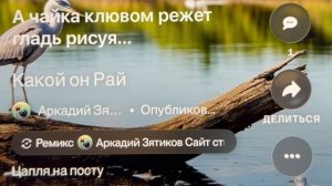 «Какой он, Рай?» цапля на посту