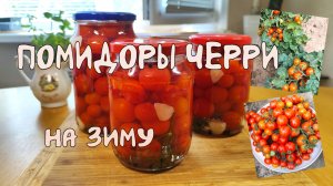 Помидоры черри на зиму