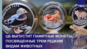 ЦБ выпустит памятные монеты, посвященные трем редким видам животных