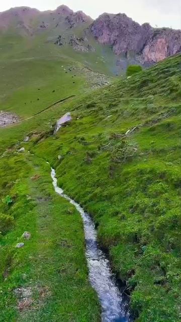 ԱՍՏԾՈ ՆԱՄԱԿԸ ՔԵԶ ՀԱՄԱՐ ԱՅՍՕՐ