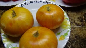 Томат Огненный поцелуй. №234. Сорт Виталия Алифирова. Этот гигант поспел на улице. 30 июля.