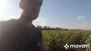 Опылительные приключения. Конец сезона 2026🐝#пчелы #пасека #пчеловодство