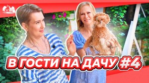 В гости на дачу выпуск №4 | Фея гортензий | Оранжерея и абрикосы |Екатерина Весна Московская область