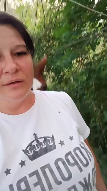 Идём с Пегасом домой